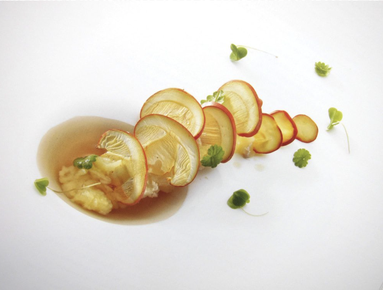 Mugaritz: A Natural Science of Cooking — The Good Bower